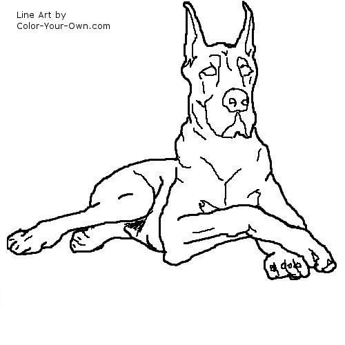Great dane coloring page dog drawing canine art dog coloring page