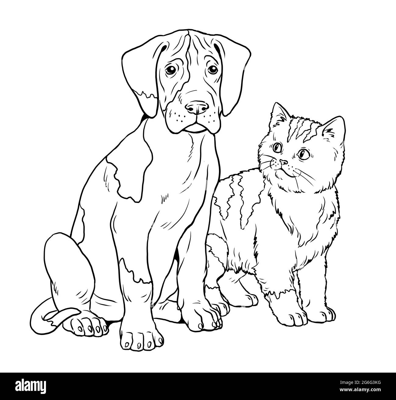 Great dane dog friends black and white stock photos images