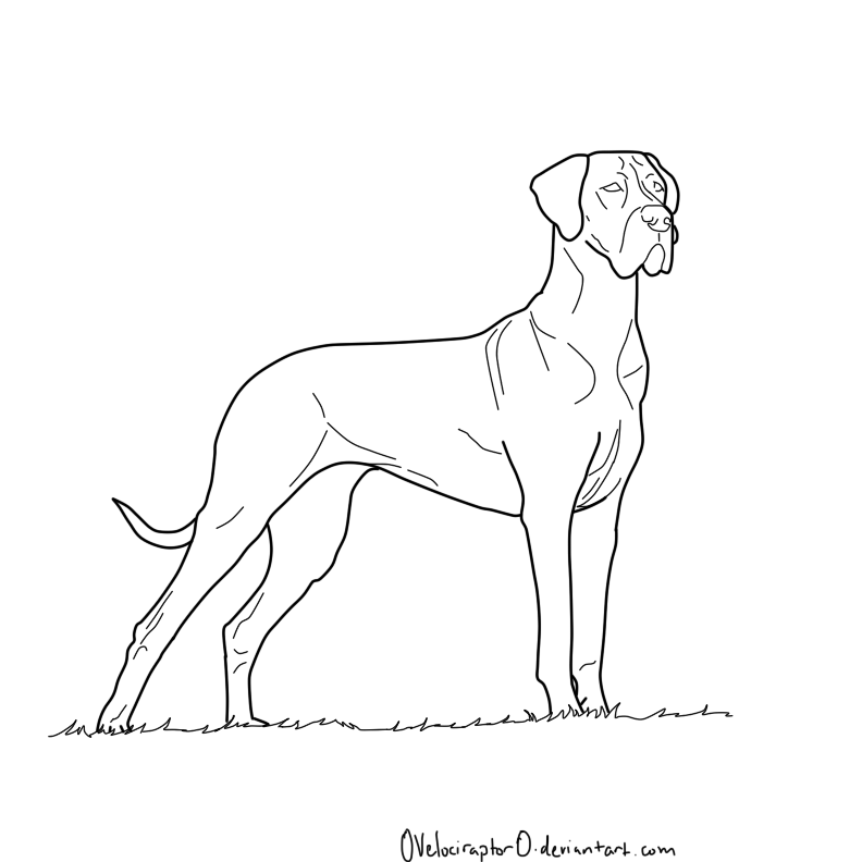 Great dane lineart by velociraptor on