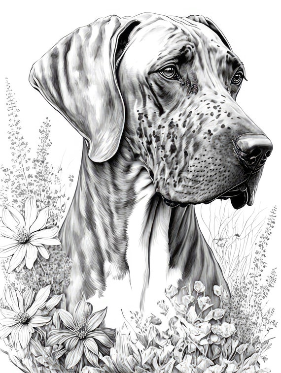 Great dane adult coloring sheet ai generated coloring page of a great dane with flowers instant download
