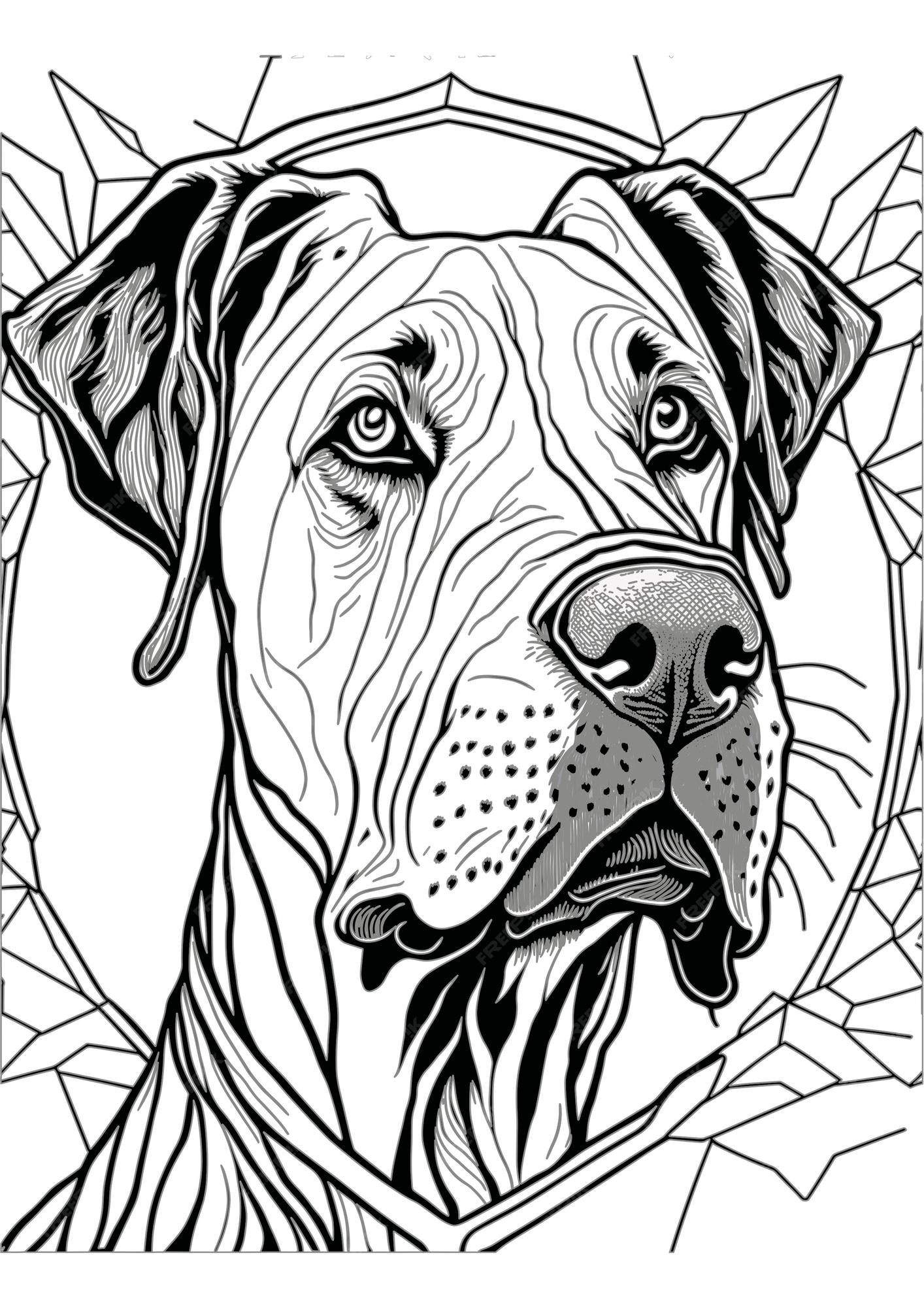 Premium vector vector dog outline coloring page coloring book illustration great dane