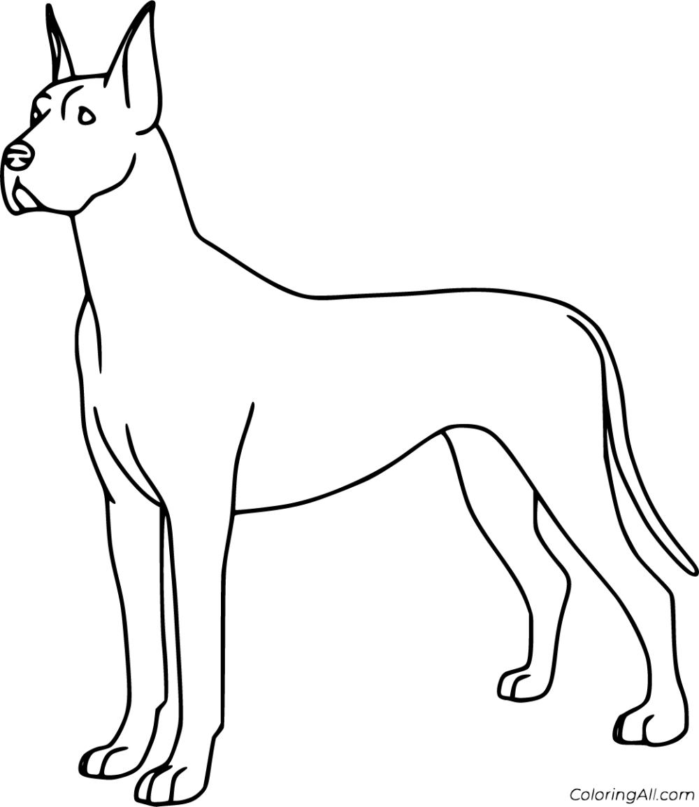 Free printable great dane coloring pages easy to print from any device and automatically fit any paper size great dane coloring pages great dane dogs
