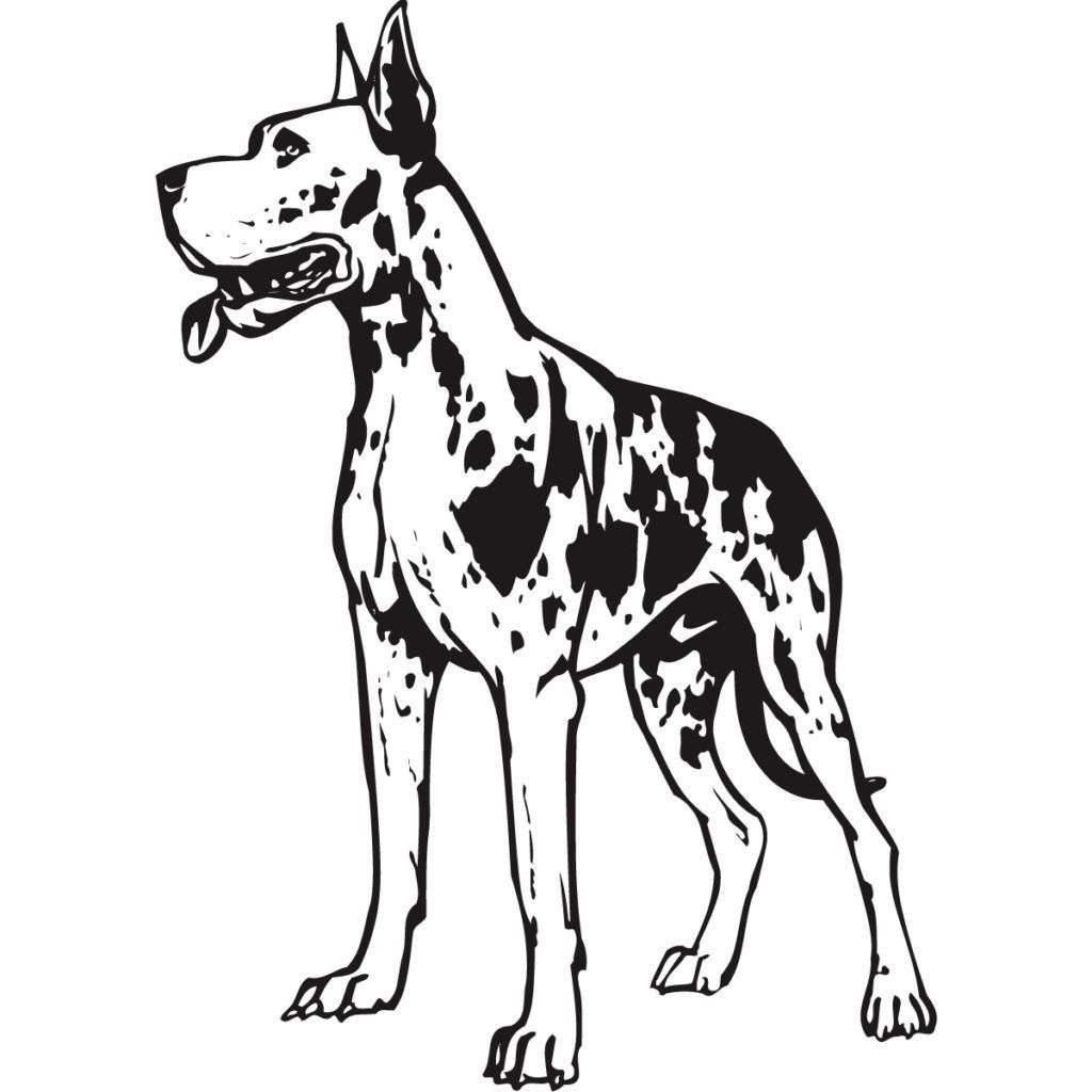 Great dane coloring pages