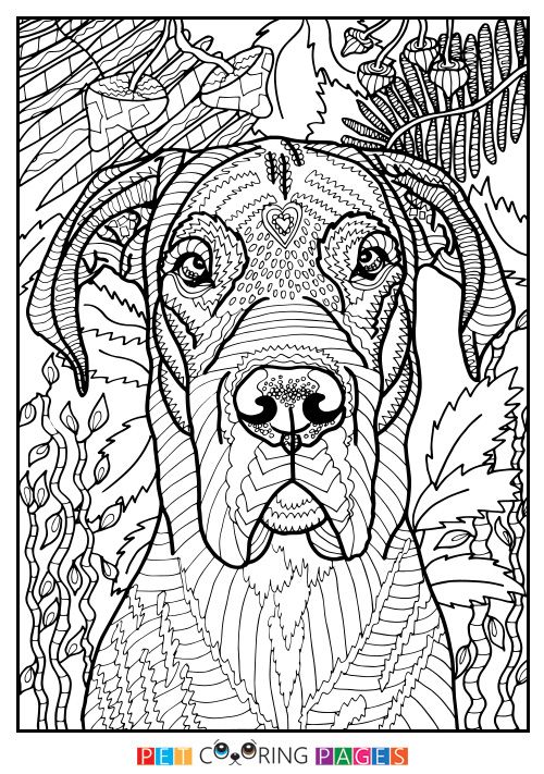 Free printable great dane coloring page available for download simple and detailed versions for adultâ dog coloring page dog coloring book adult coloring pages