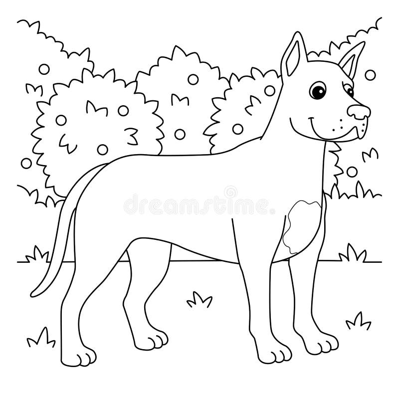 Great dane dog coloring page for kids stock vector