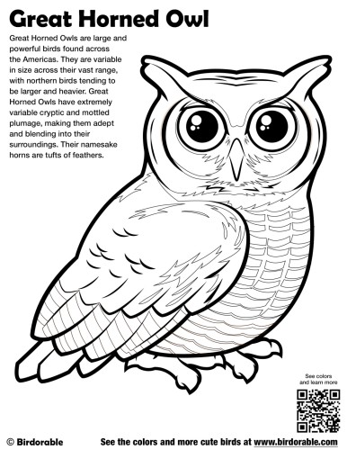 Great horned owl coloring page by