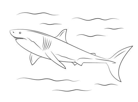Majestic great white shark coloring page