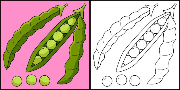 Premium vector green bean fruit coloring page illustration