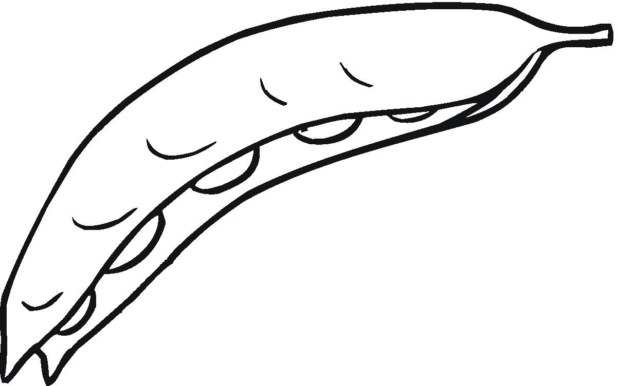 Beans coloring pages