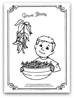 Free vegetable garden coloring books