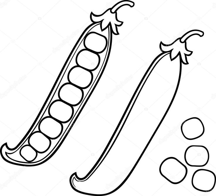 High resolution green bean coloring image
