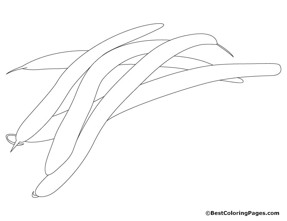 Green beans coloring pages download free green beans coloring pages for kids best coloring pages