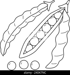Green bean fruit coloring page illustration stock vector image art