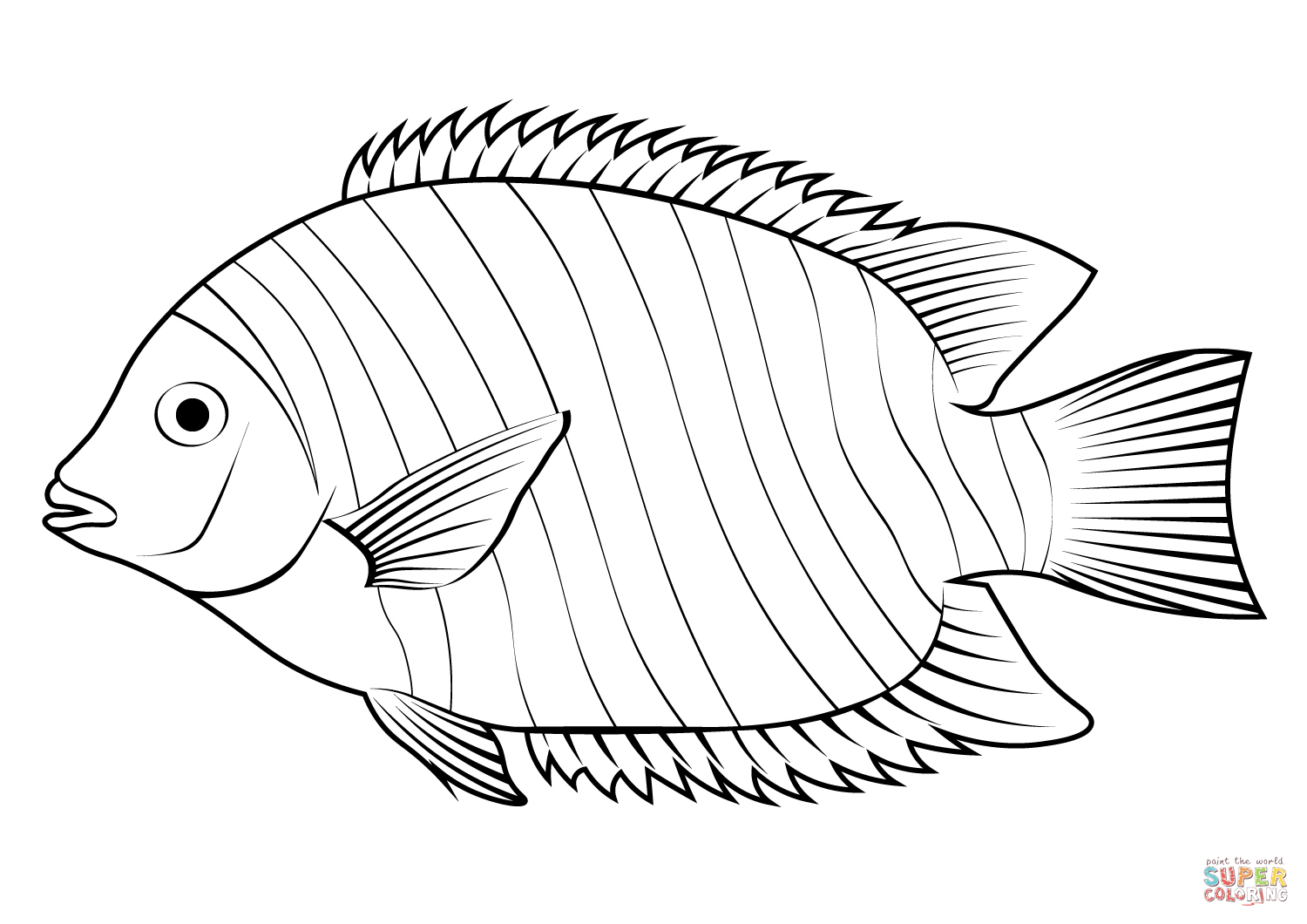 Green chromide etroplus suratensis coloring page free printable coloring pages