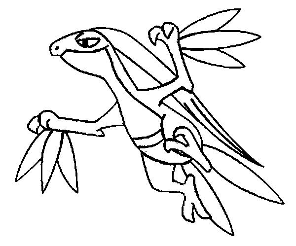 Grovyle green pokemon coloring pages pokemon coloring pokemon
