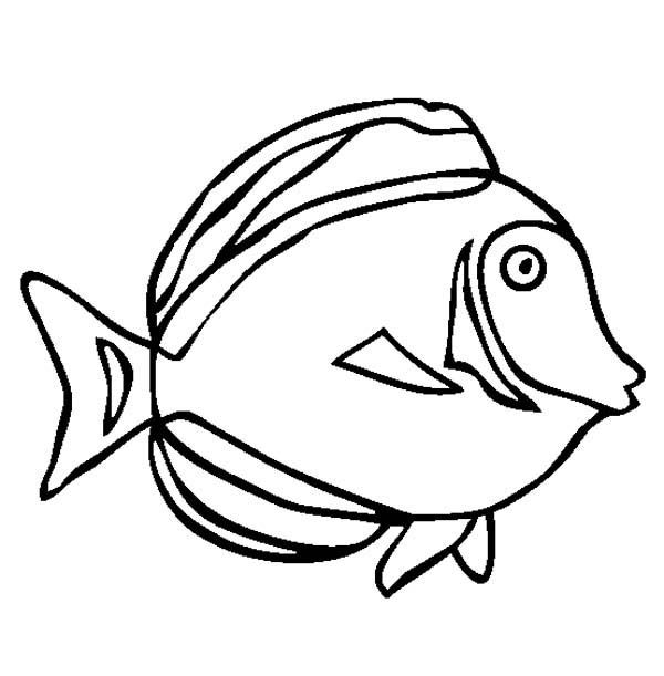 This coloring sheet meassure is around pixel x pixel with approximate file size for around â in animal coloring pages coloring pages japanese embroidery