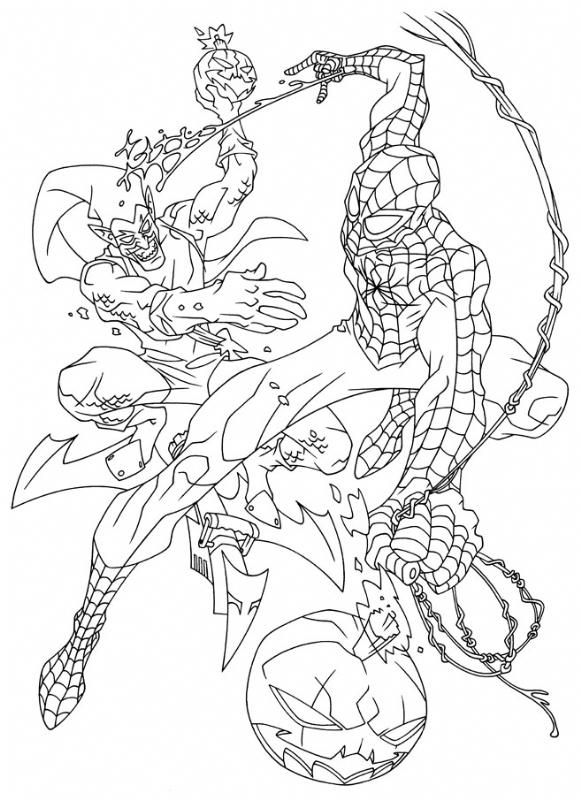 Spider