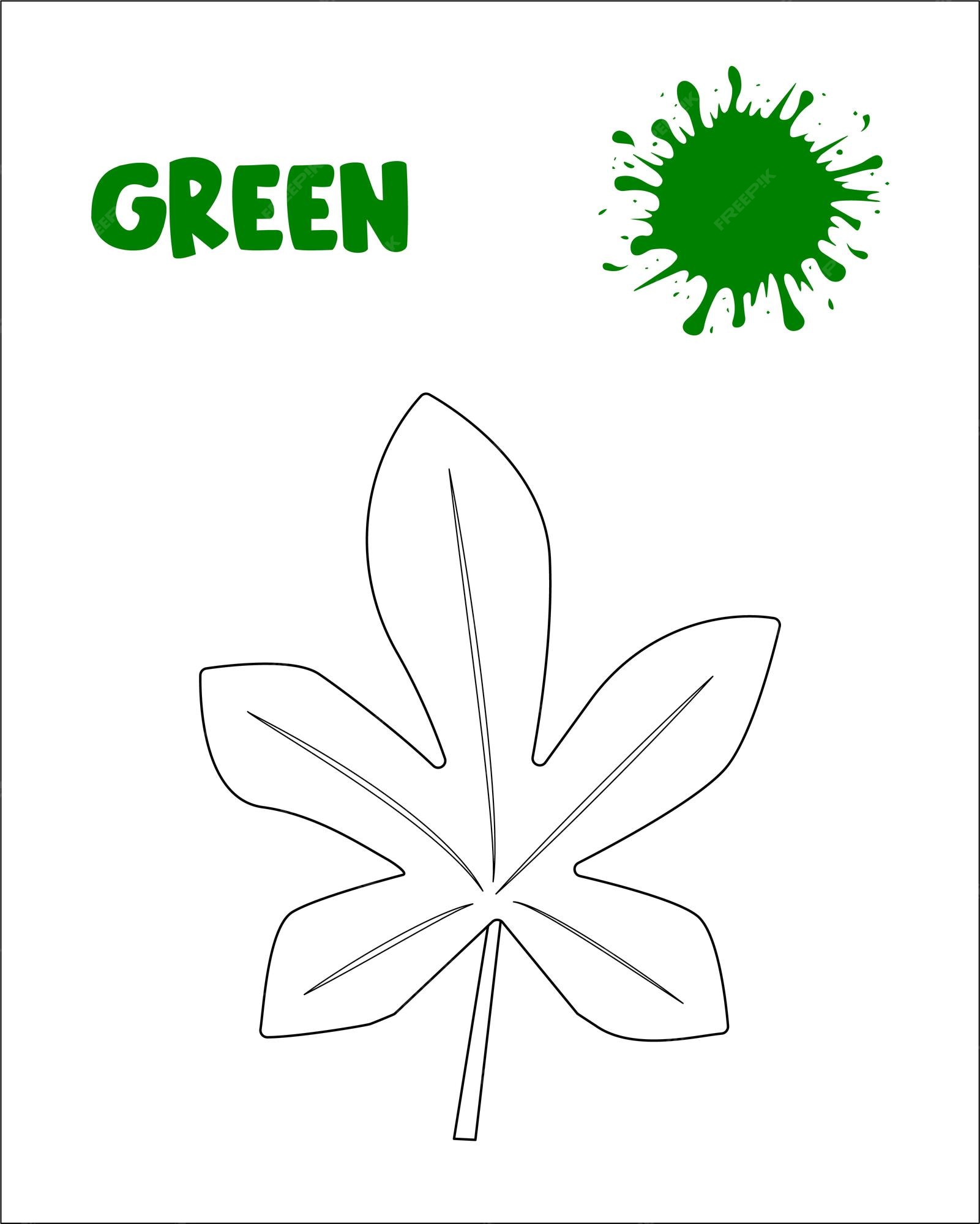 Premium vector green color leaf coloring page