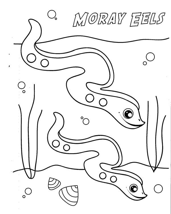 Cute moray eel coloring page color luna coloring pages mazes for kids printable letter e craft