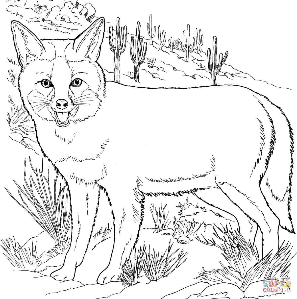 Grey fox coloring page free printable coloring pages