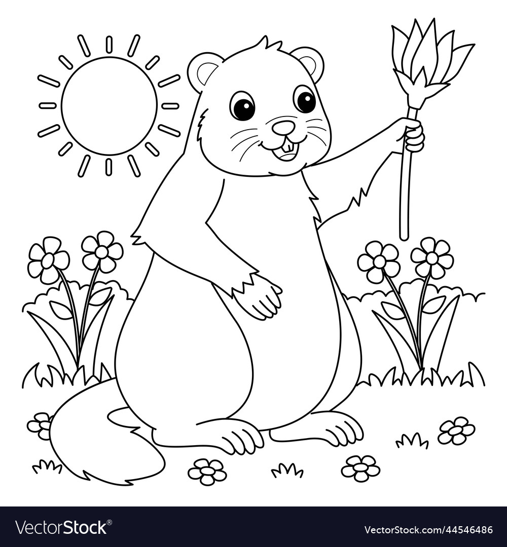 Groundhog holding flower coloring page for kids vector image
