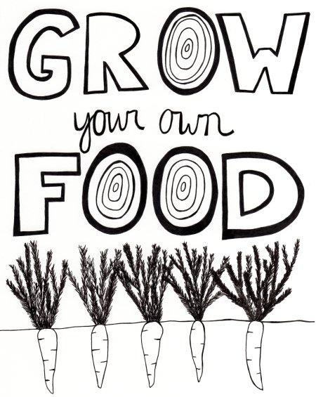 Grow your own food blue bicicletta
