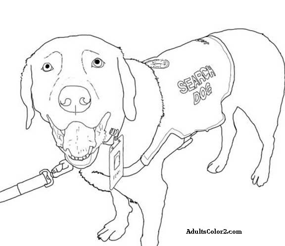 Working dogs crucial canines