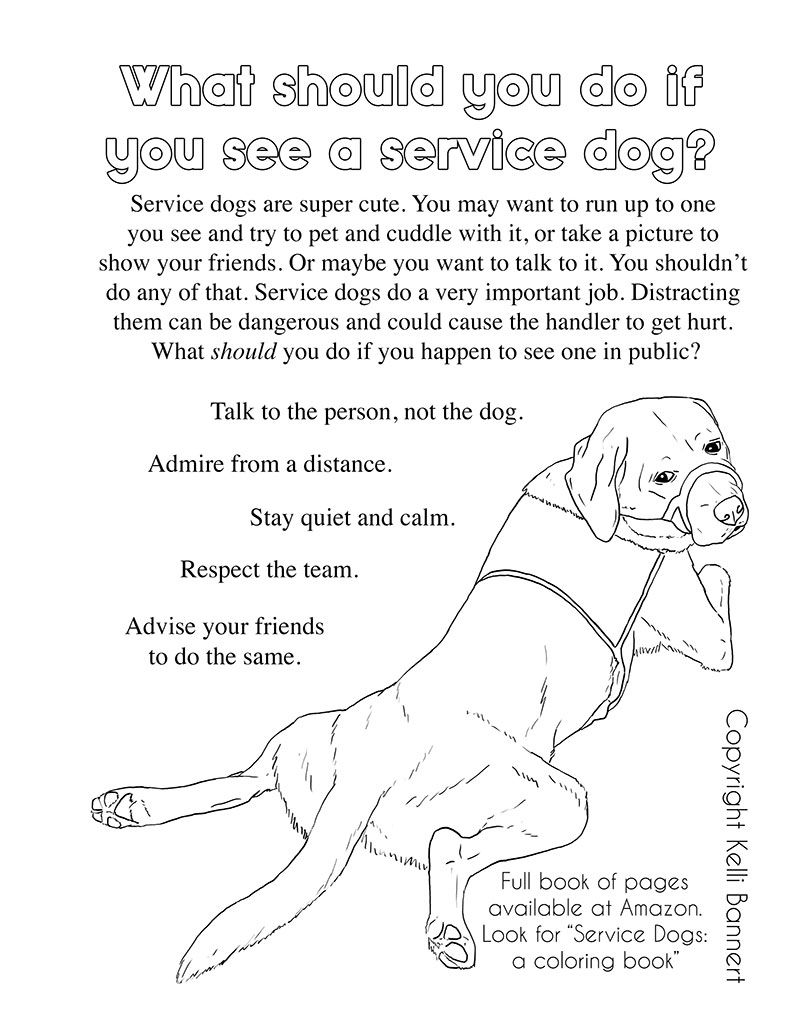 Service dogs coloring book to paint and learn service dogs service dog patches service dogs gear