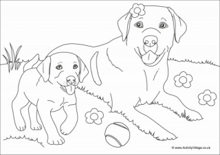 Dog louring pages