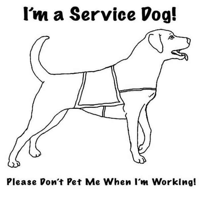 Service dog coloring pages service dogs dog coloring page people coloring pages
