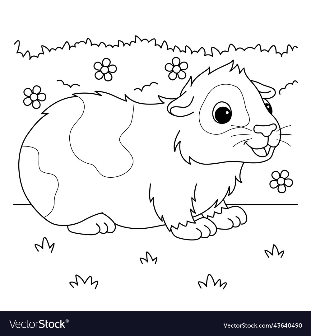 Guinea pig animal coloring page for kids vector image