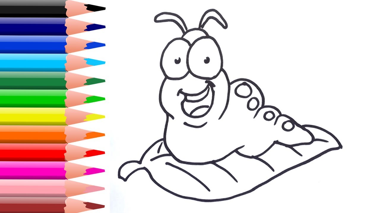 Dibujar y colorear a gusano en hoja verde