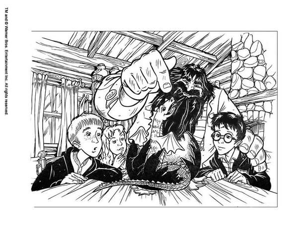 Rubeus hagrid coloring pages harry potter online coloring sheets harry potter â harry potter coloring pages harry potter coloring book harry potter cartoon