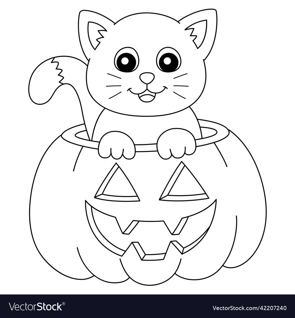 Pumpkin cat halloween coloring page isolated vector image