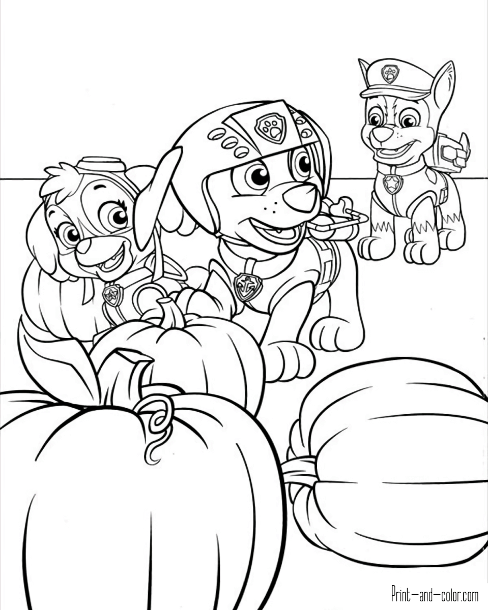 Paw patrol coloring pages print and color