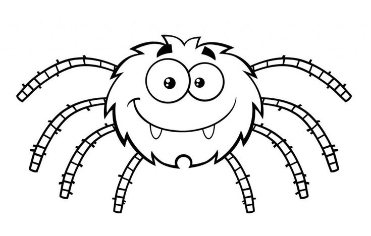 Free printable spider coloring pages for kids spider coloring page halloween coloring pages printable halloween coloring pages