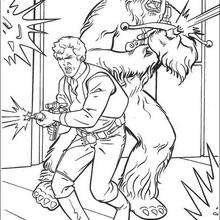 Han solo and chewbacca coloring pages