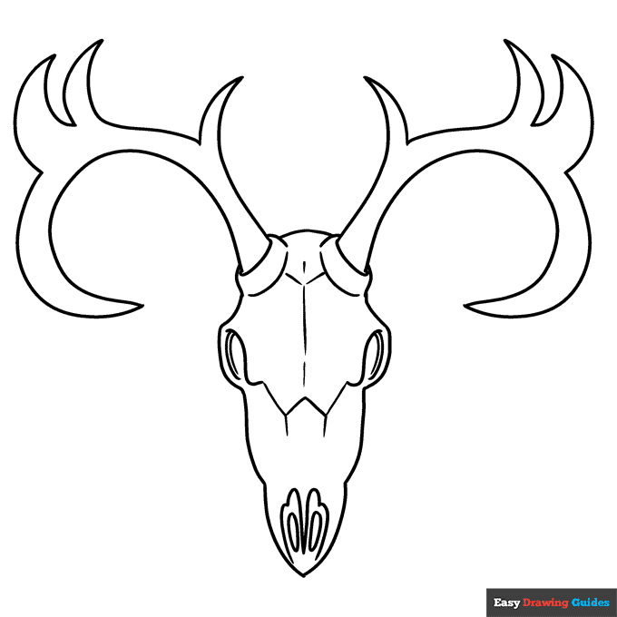 Deer skull coloring page easy drawing guides