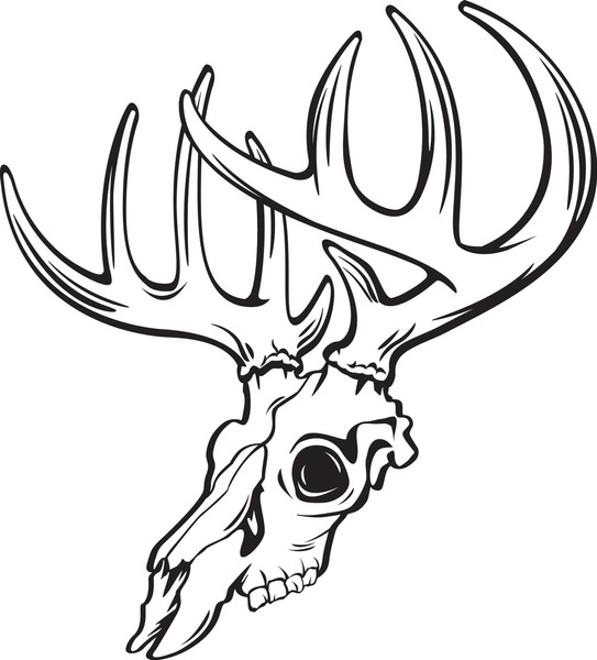 Buck skull royalty