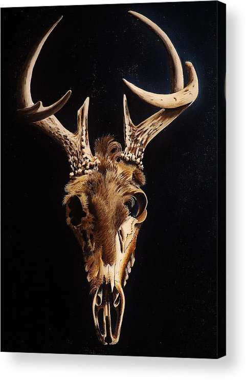 Deer skull acrylic print by joy bradley