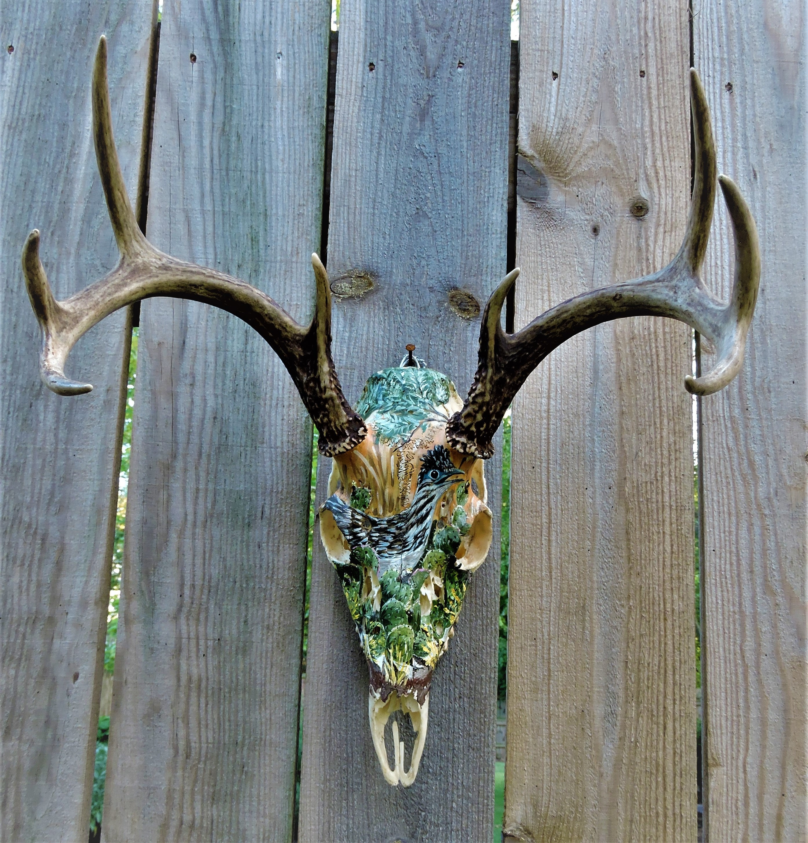 Whitetail deer skull european mount authentic hand painted roadrunner in cactus scene