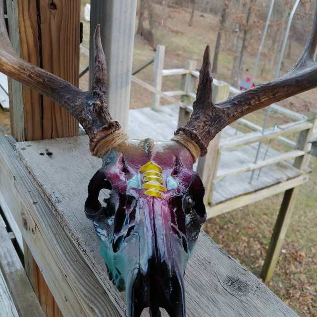 Painting deer skulls with spray paint for both displaying and fun
