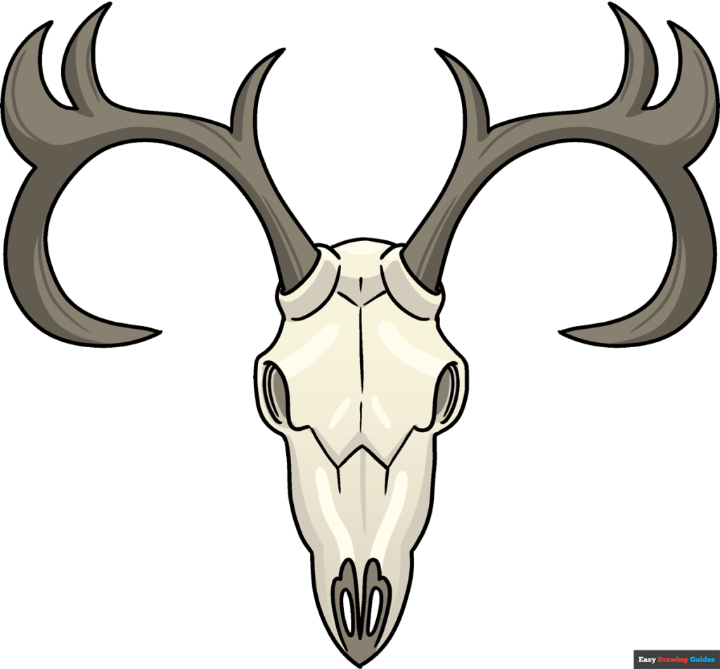How to draw a deer skull