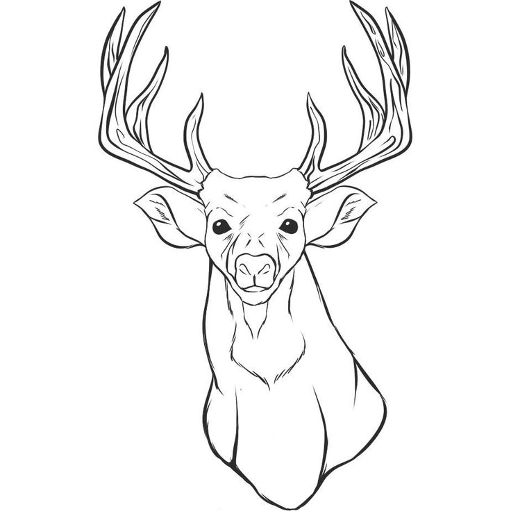 When we talk about deer coloring pages printable below we can see several variation of images to give yoâ deer coloring pages skull coloring pages deer drawing