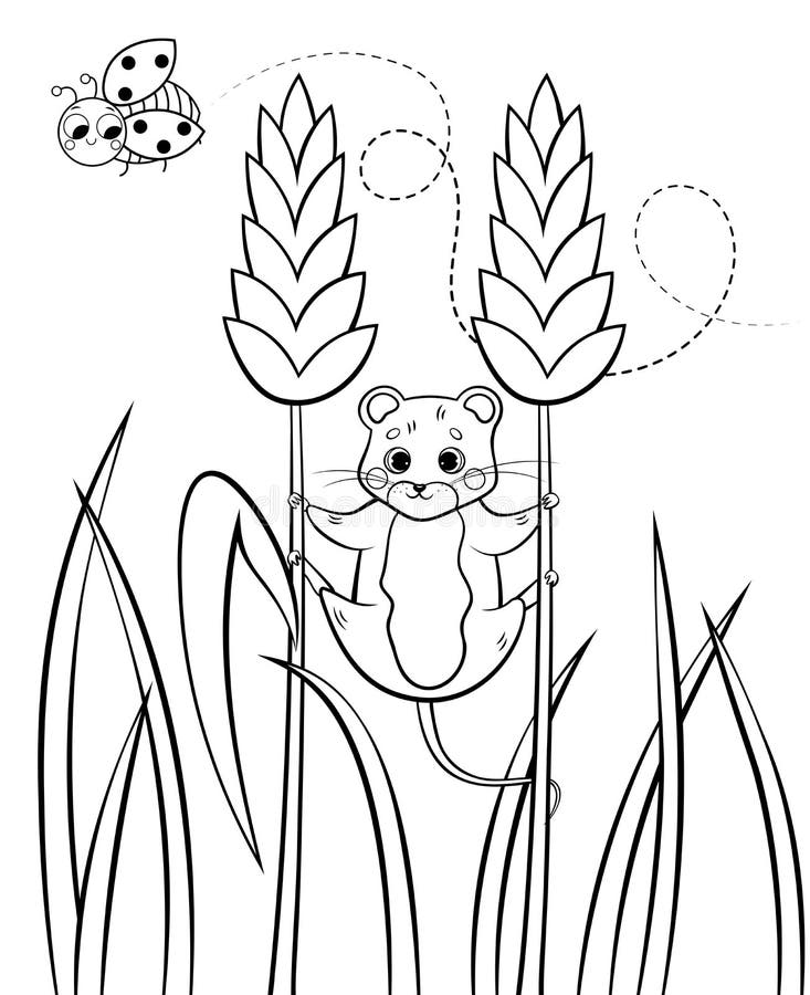 Coloring page outline of cute cartoon forest vole or mouse hanging on wheat vector image with nature background stock vector