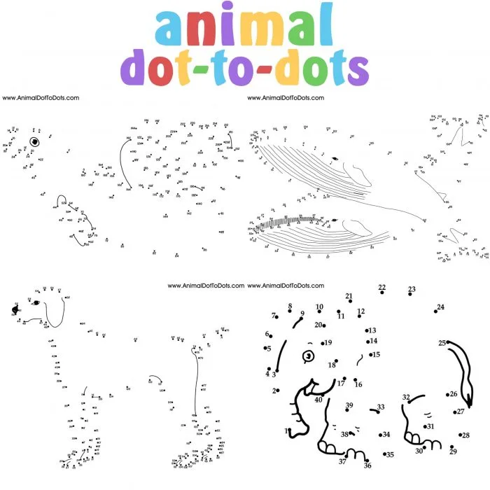 Dot