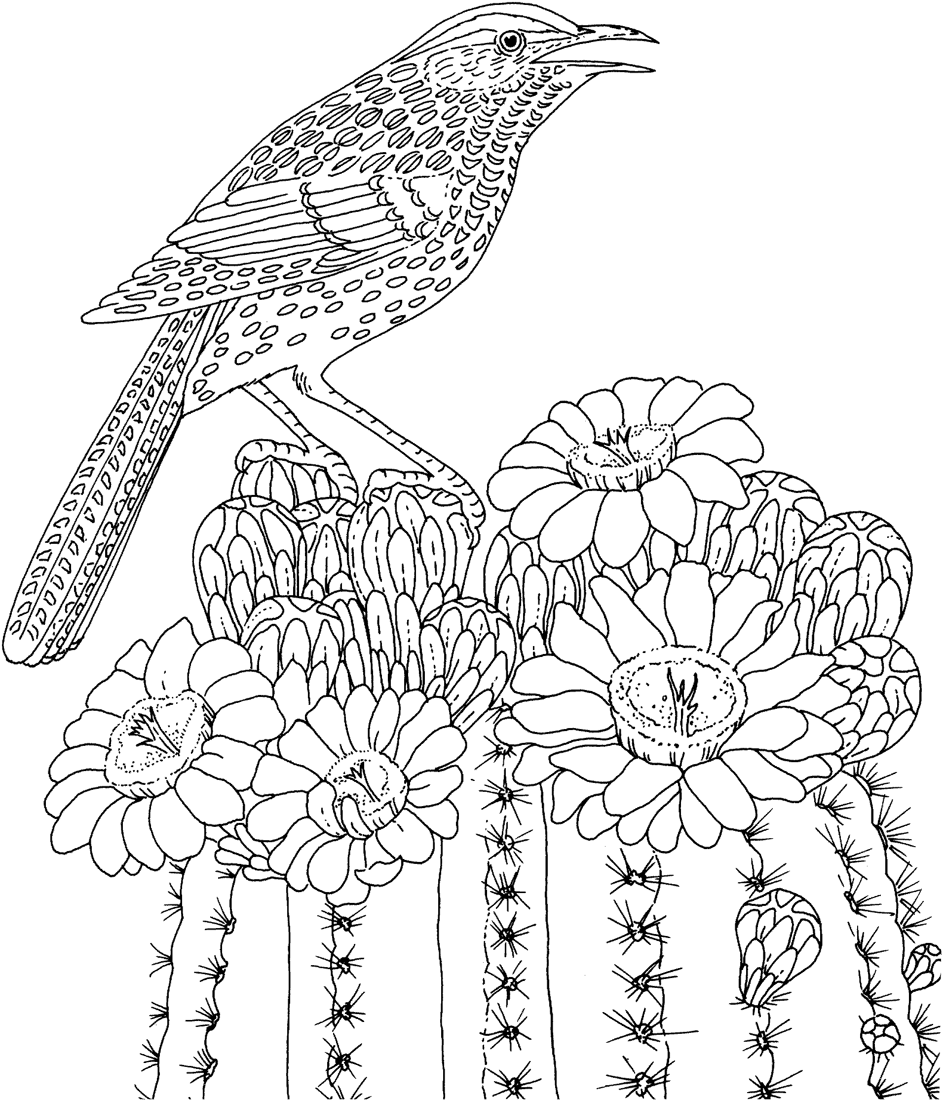 Hard coloring pages printable for free download