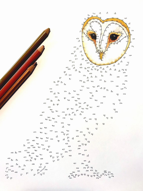 Barn owl extreme dot to dot pdf activity and coloring page