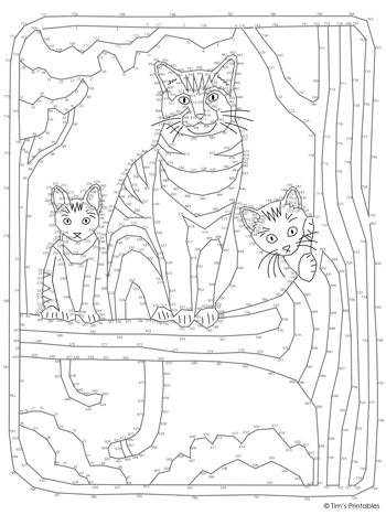 Cat dot