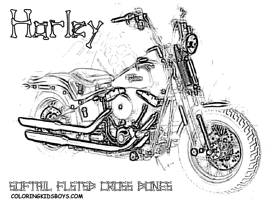 Harley